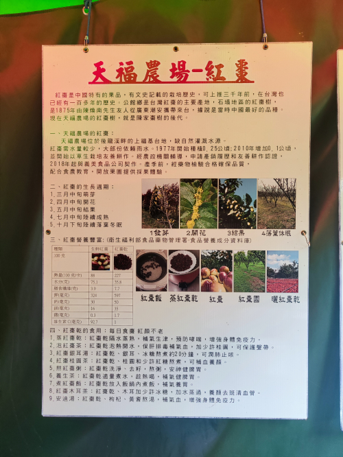 天福農場生態參訪