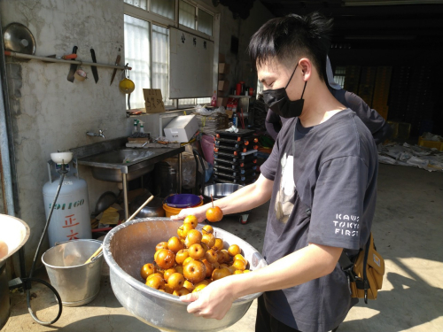 原生滋味的再發現——鳥梨認識與手作體驗課程
