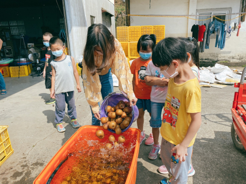 原生滋味的再發現——鳥梨認識與手作體驗課程