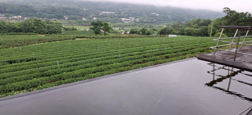 美栗茶鄉
