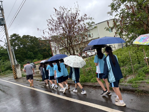 找茶趣