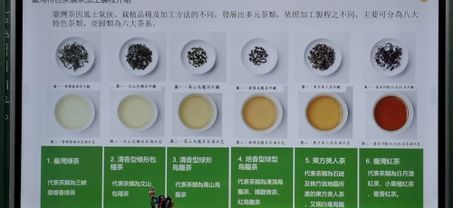 茶達人來說茶