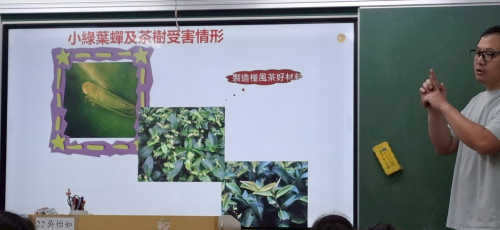 茶達人來說茶
