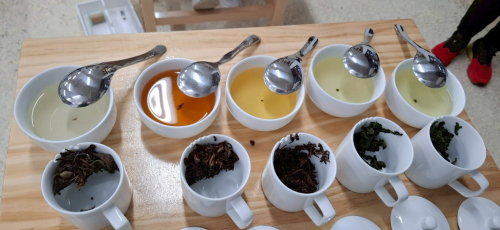 茶達人請喝茶
