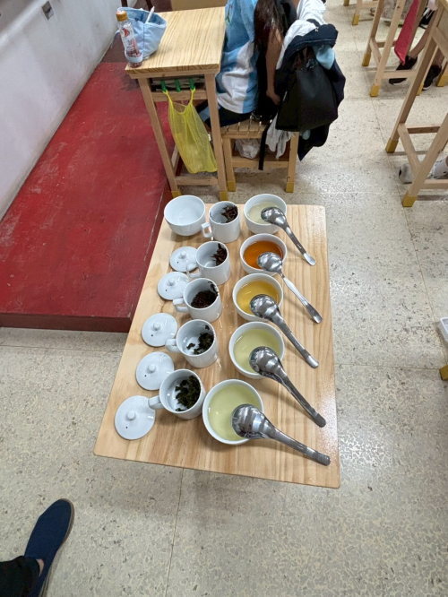 茶達人請喝茶