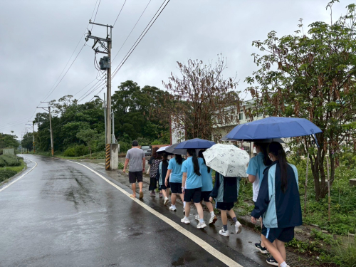 八甲逛茶園