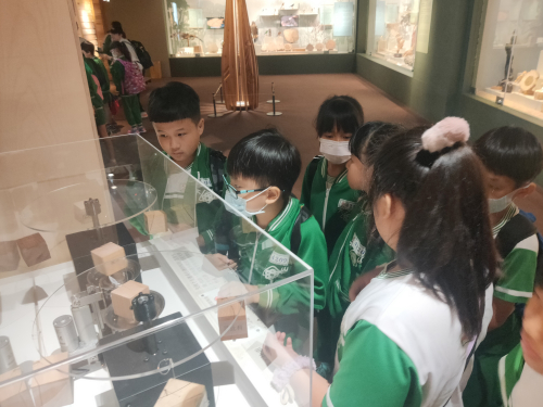 國立自然科學博物館：材不材 木的故事特展