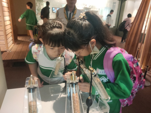 國立自然科學博物館：材不材 木的故事特展