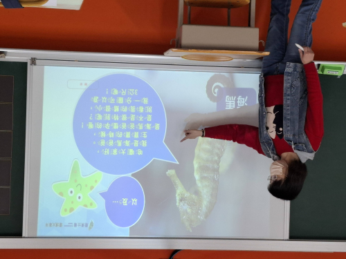 海洋主題延伸課程