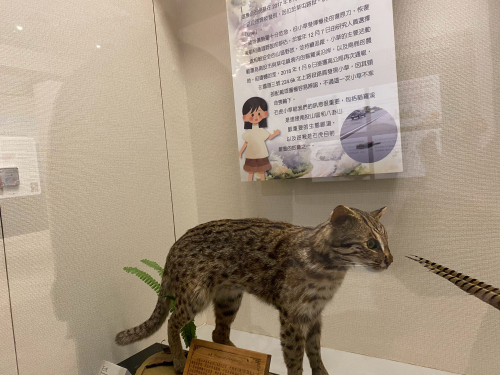 特色亮點