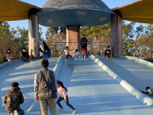 苗北藝文中心及運動公園