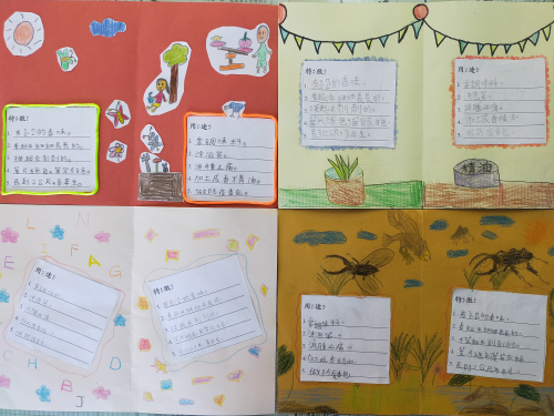 藥草名片書