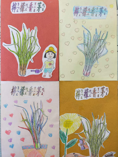 藥草名片書