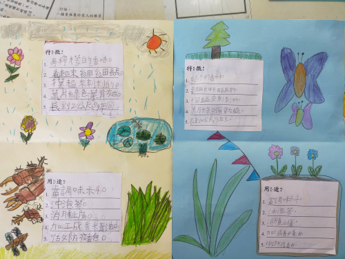 藥草名片書