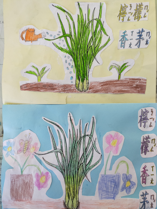藥草名片書