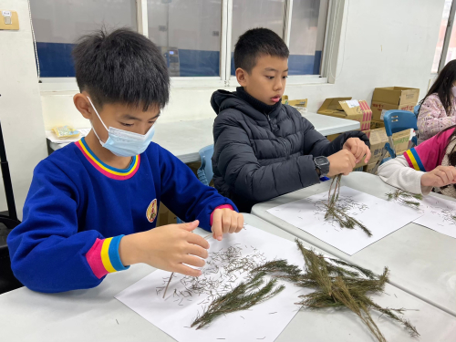 藥草防蚊液
