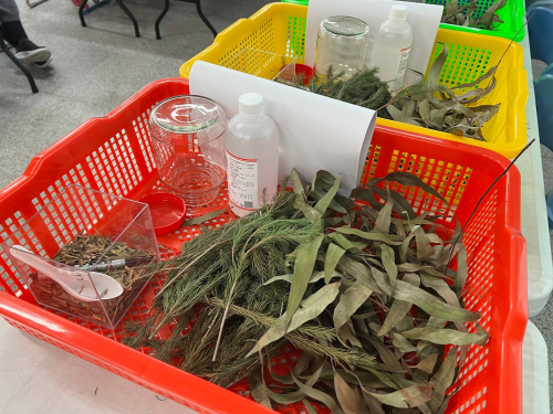 藥草防蚊液