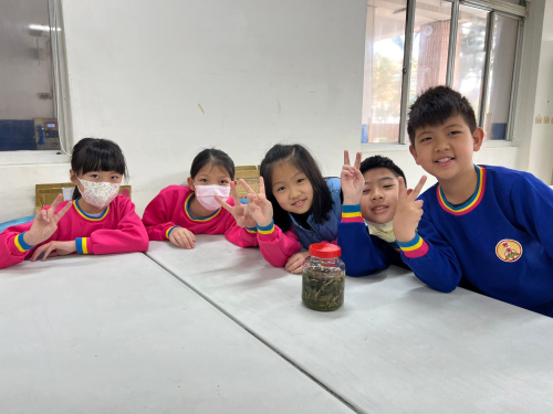 藥草防蚊液