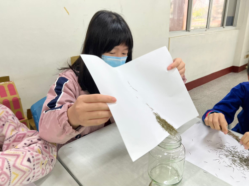 藥草防蚊液