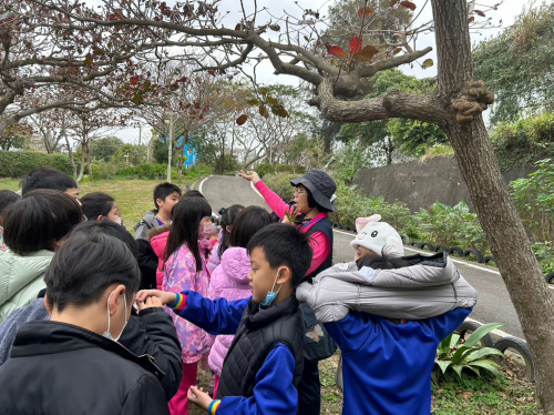 參訪紅樹林