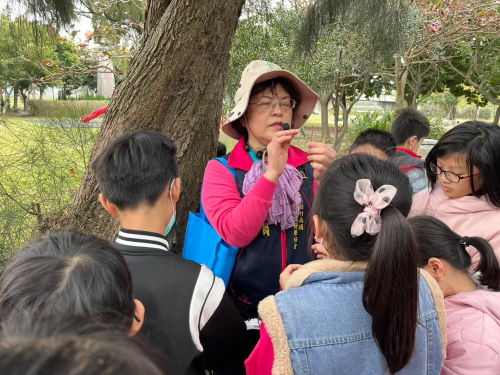 參訪紅樹林