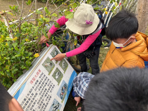 參訪紅樹林