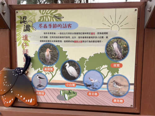 溫內紅樹林