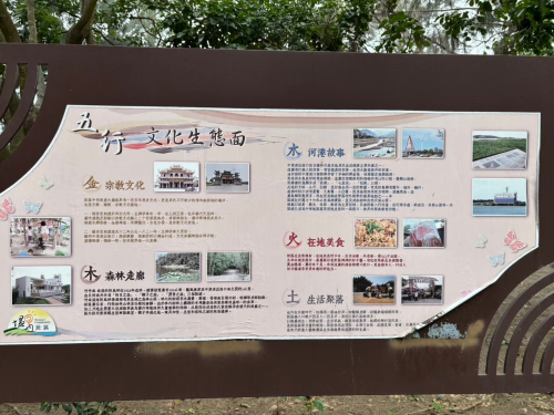 溫內紅樹林
