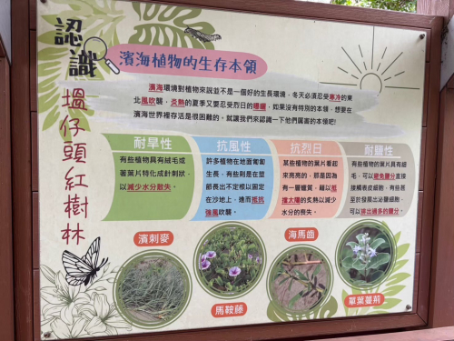溫內紅樹林