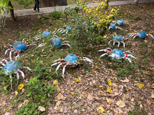 溫內紅樹林