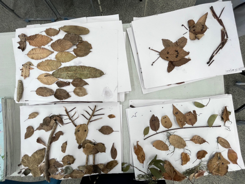 學生特色作品