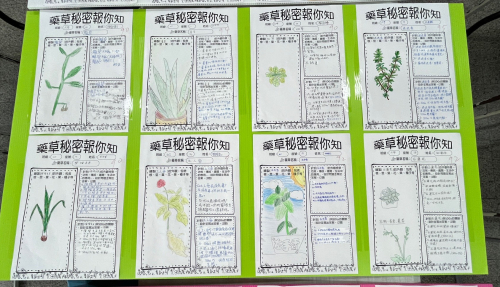學生特色作品
