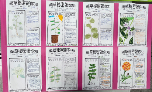 學生特色作品