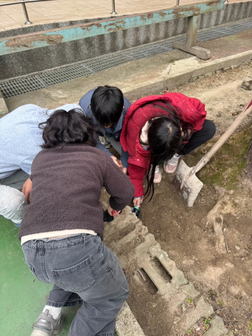 平台與鞦韆搭建