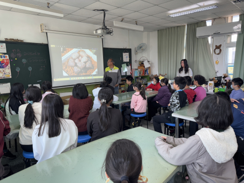 學生多肉植物種植分枝及擺盆課程