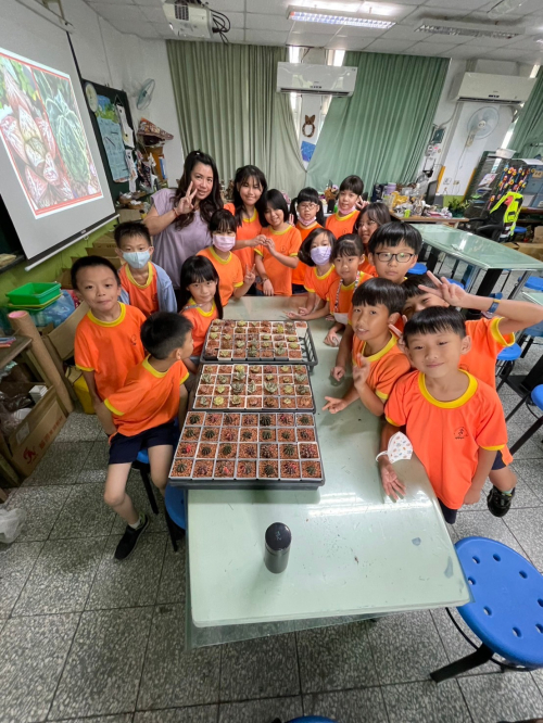 學生多肉植物種植分枝及擺盆課程