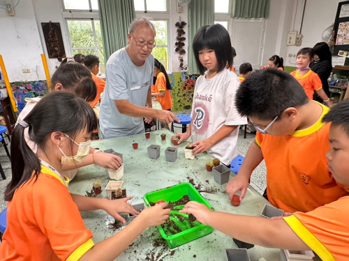 學生多肉植物種植分枝及擺盆課程
