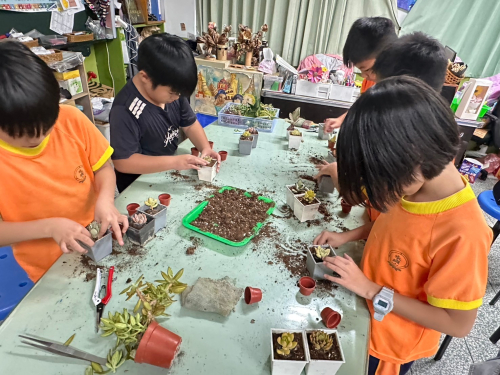學生多肉植物種植分枝及擺盆課程