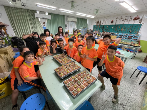 學生多肉植物種植分枝及擺盆課程