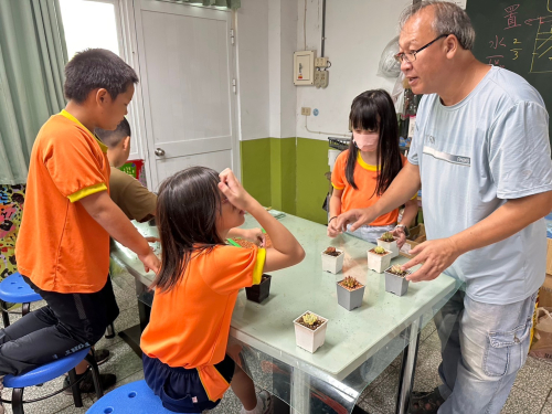 學生多肉植物種植分枝及擺盆課程