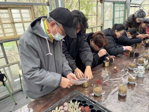 教師多肉植物擺盆及種植研習