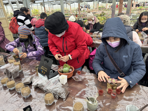 教師多肉植物擺盆及種植研習