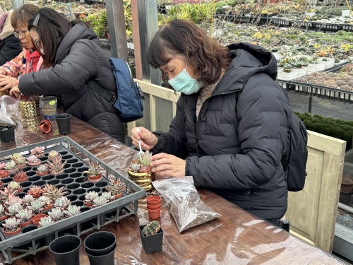 教師多肉植物擺盆及種植研習