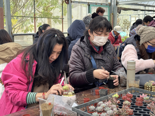 教師多肉植物擺盆及種植研習