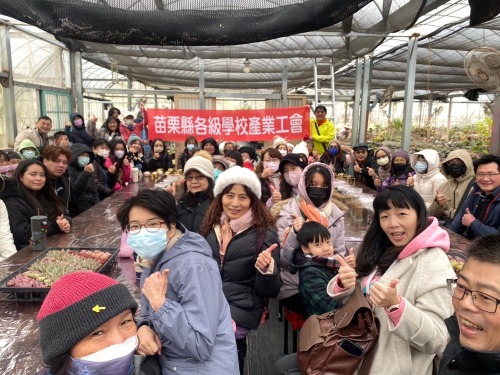 教師多肉植物擺盆及種植研習