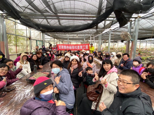 教師多肉植物擺盆及種植研習