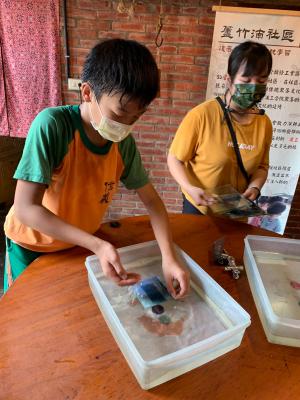 LINE_ALBUM_蘆竹湳：日光顯影、竹編_220910_20.jpg