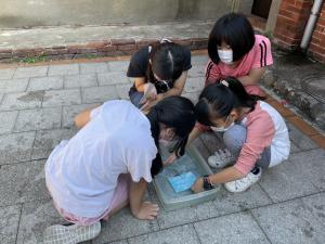 IMG_8619.JPG