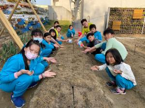 20191212菜園種菜趣_191216_0054.jpg