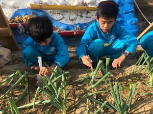 20191212菜園種菜趣_191216_0071.jpg